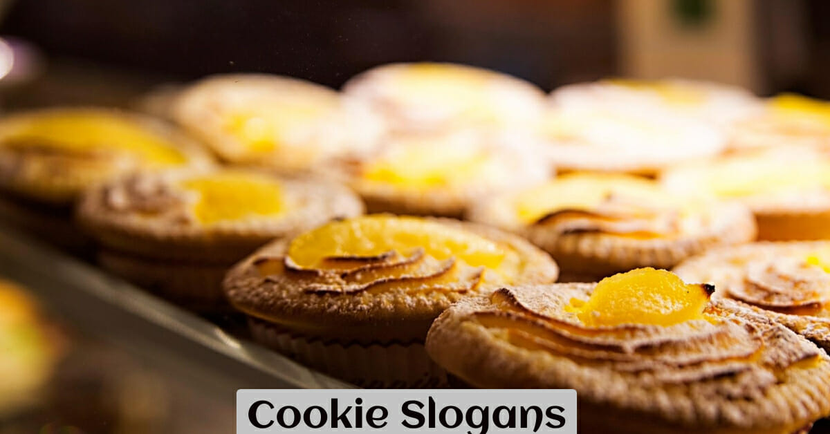 Funny And Catchy Cookie Slogans That Are Attractive