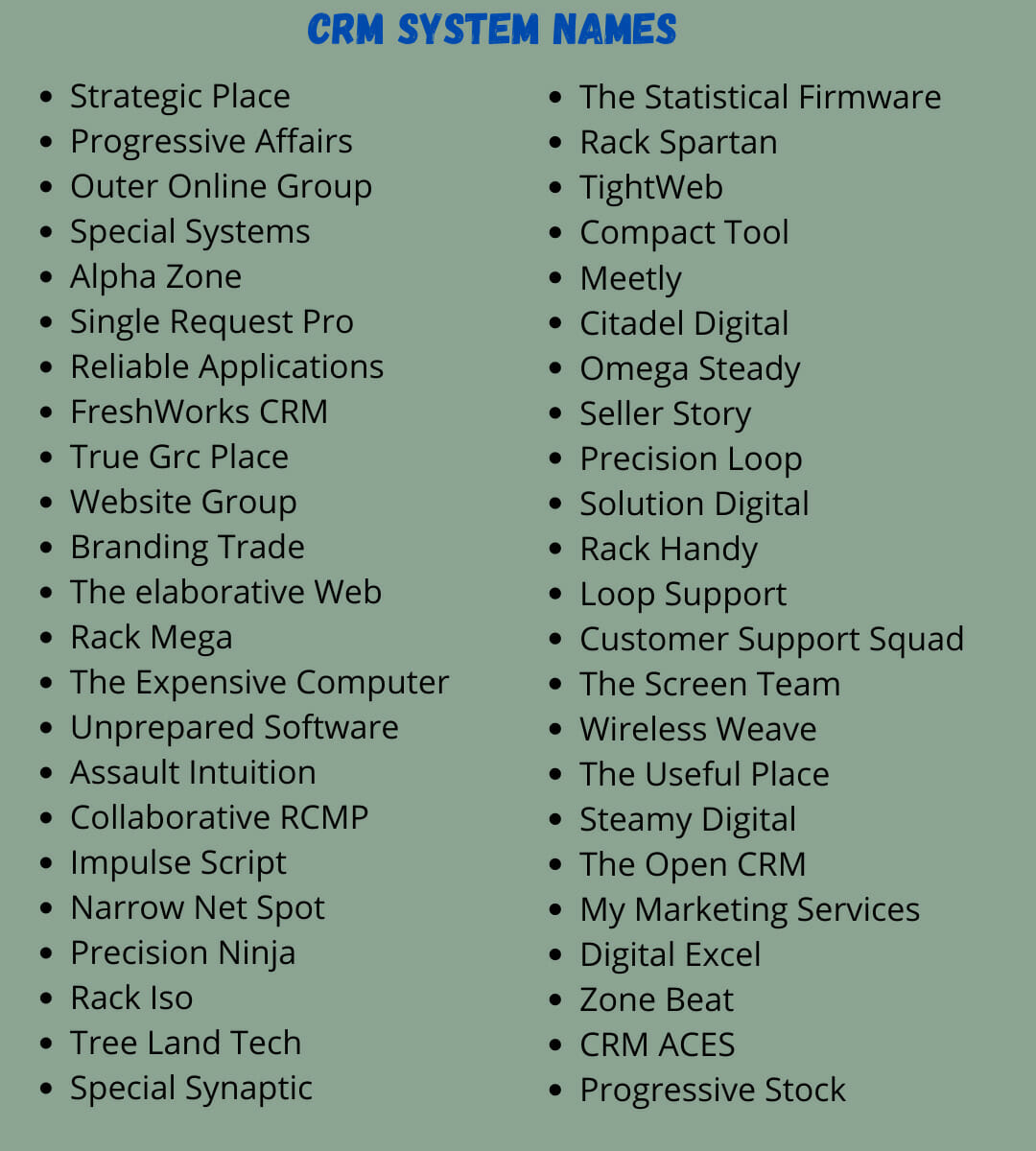 CRM System Names