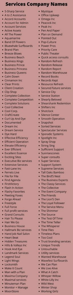 350 Professional Services Company Names