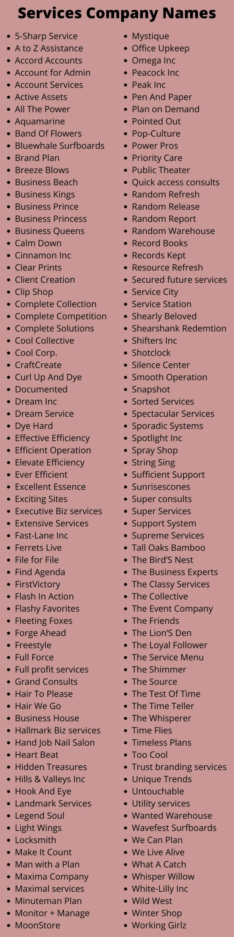 350-professional-services-company-names