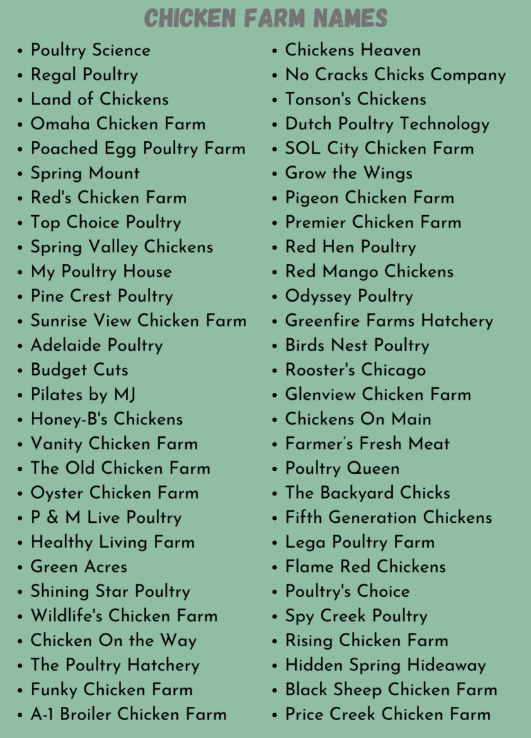 913-amazing-chicken-names-chicken-names-funny-chicken-names