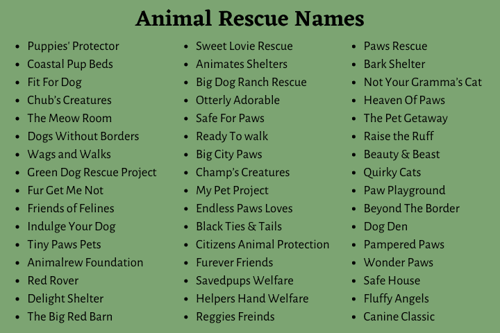 Animal Shelter Names: 700+ Catchy Animal Rescue Names -