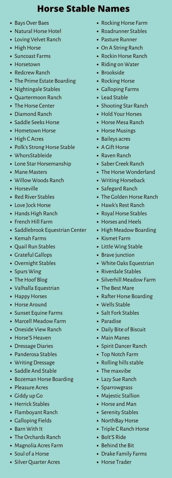 Horse Business Names: 600+ Catchy Horse Stable Names