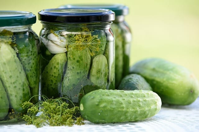 Pickle Company Names