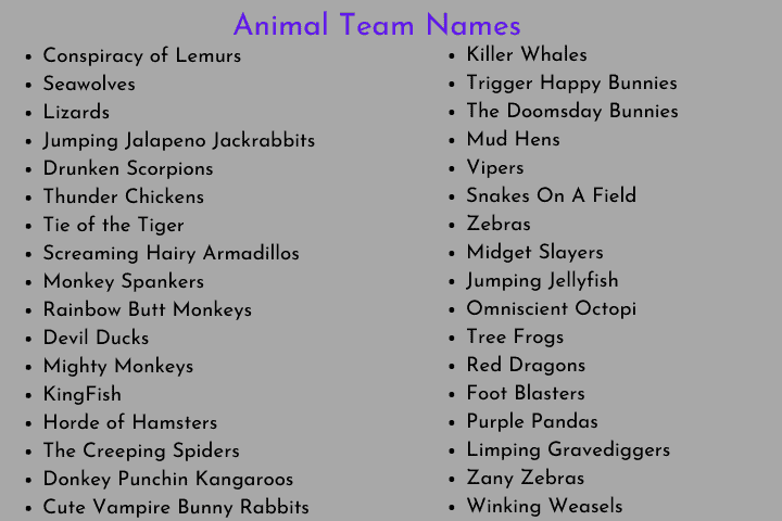 safari themed team names