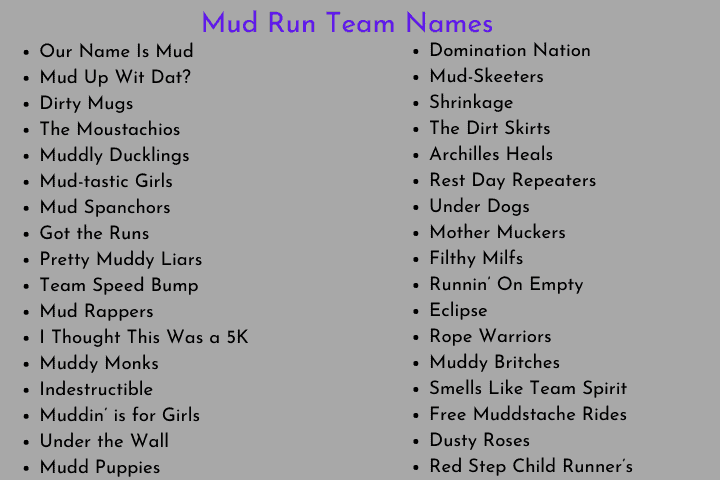 320+ Great Team Name Ideas for Tough Mudder and Mud Runs