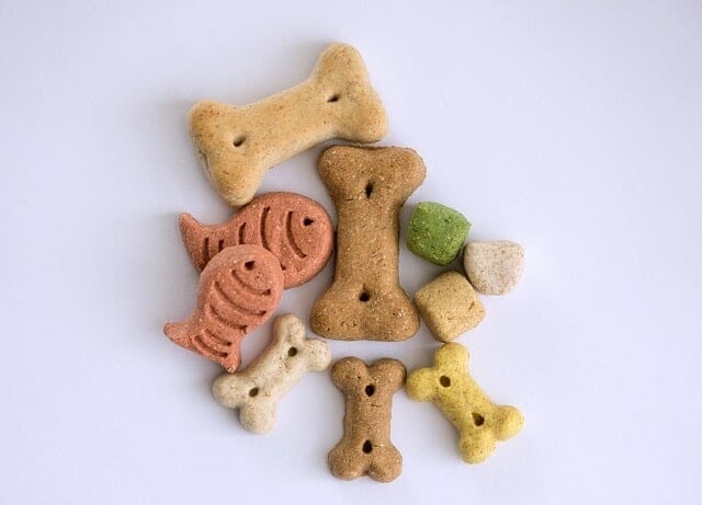 620 Unique And Cool Dog Treat Business Names
