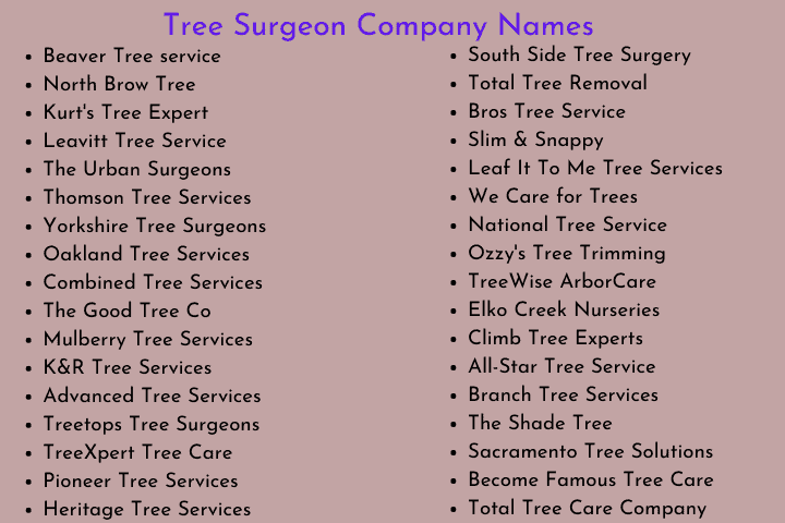 Tree Surgeon Company Names