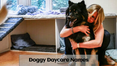 Doggy Daycare Names