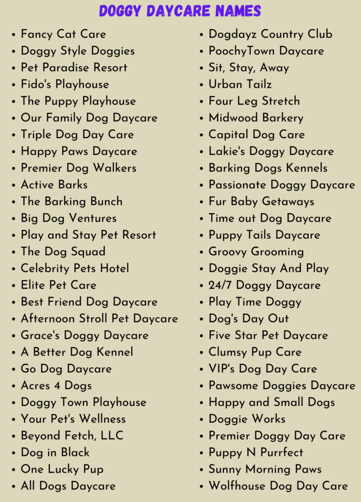 300-cute-and-creative-doggy-daycare-name-ideas