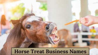 Horse Treat Business Names