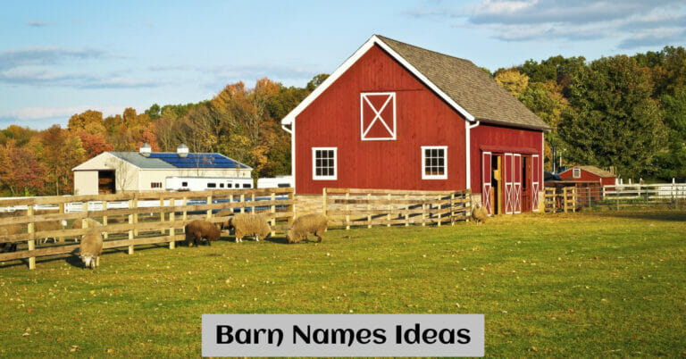 Barn Names