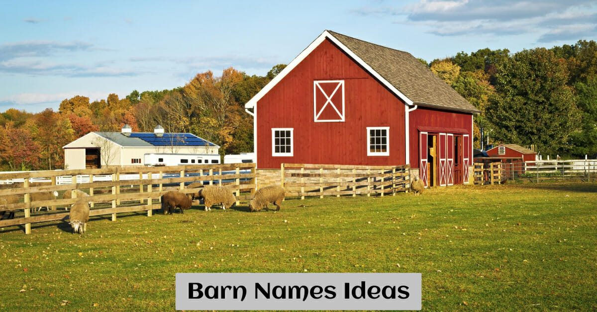 2000-barn-names-the-ultimate-list-to-get-you-started