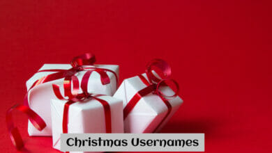 Christmas Usernames