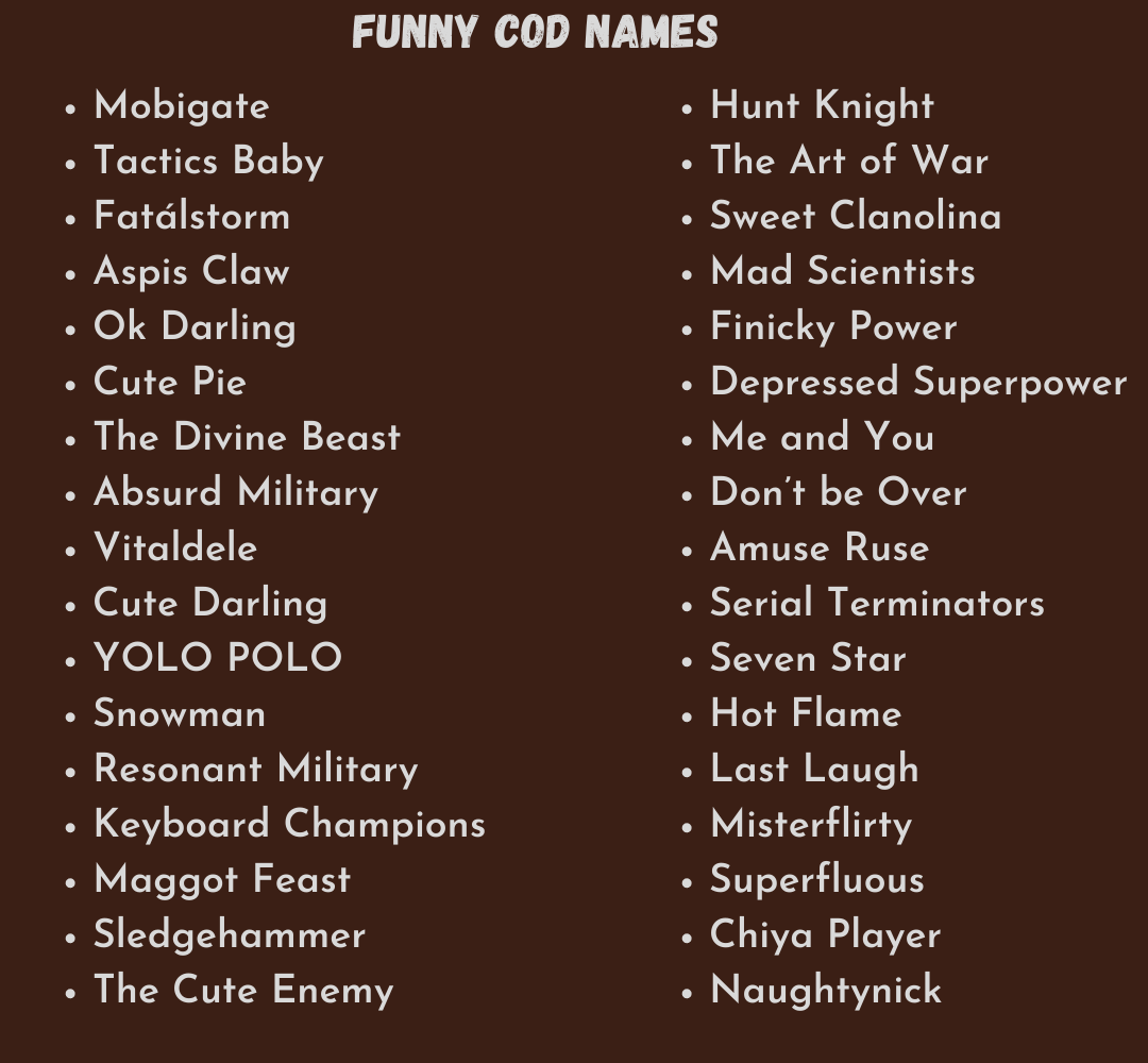 Hilarious Clan Names For Call Of Duty: Prepare For A Laugh Riot