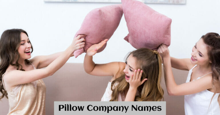 Pillow Company Names