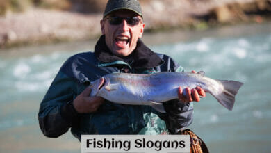 Fishing Slogans