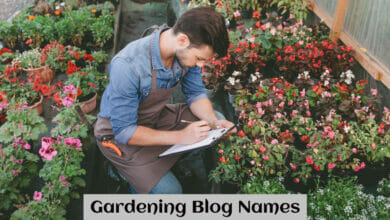 Gardening Blog Names