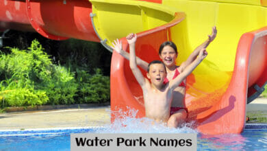 Water Park Names