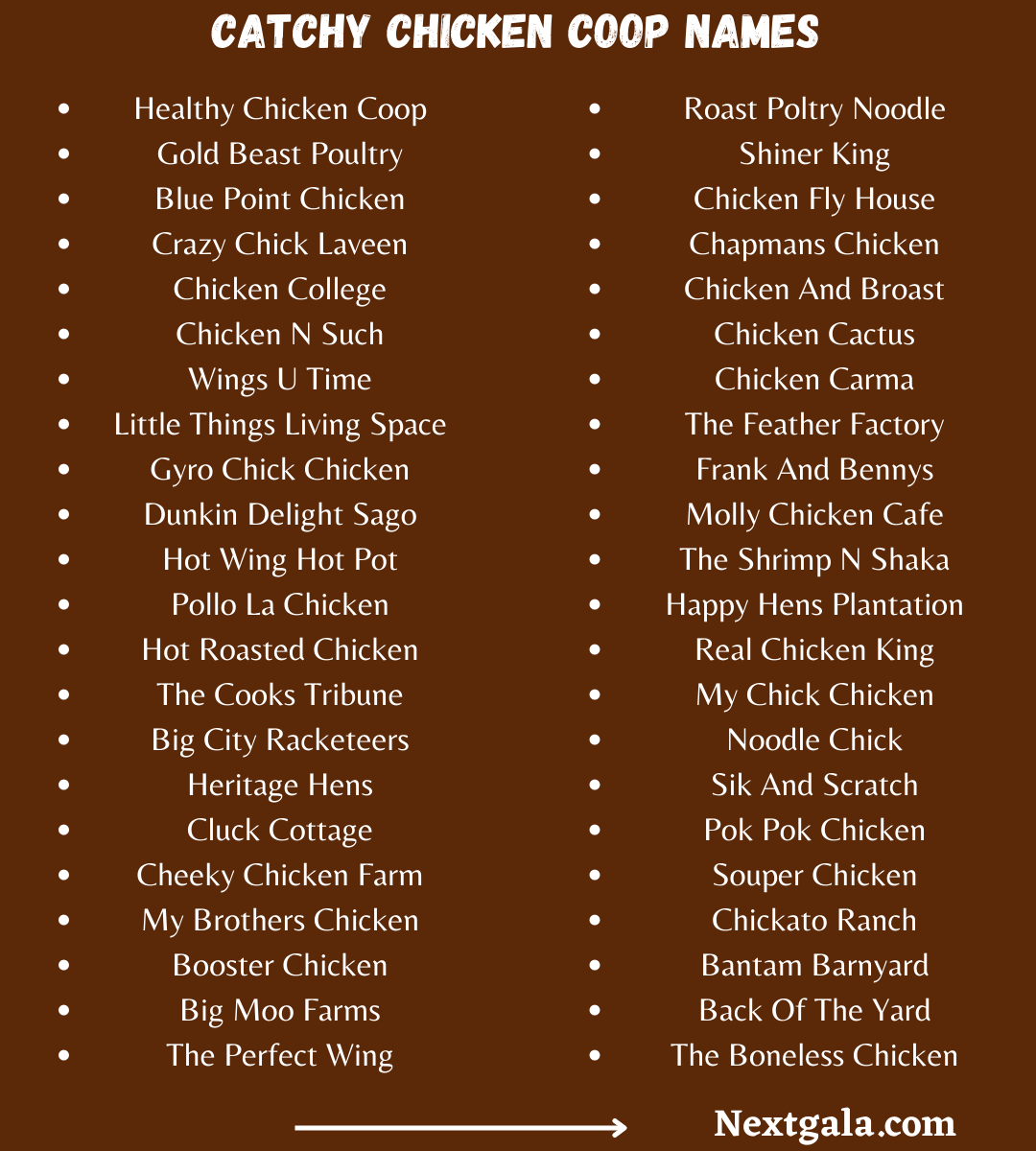 900+ Cute and Funny Chicken Coop Names (Updated)