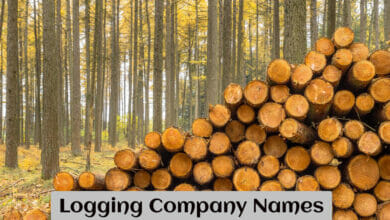 Logging Company Names