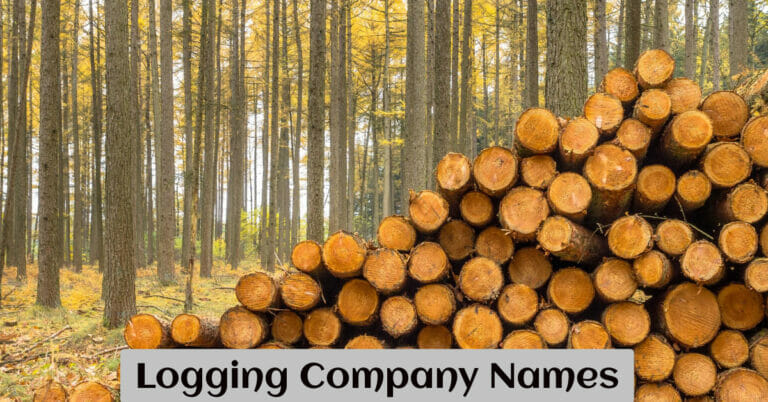 Logging Company Names