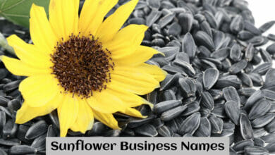 Sunflower Business Names