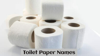 Toilet Paper Names