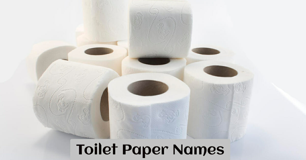 740+ Fun and Cool Toilet Paper Names For Your Brand