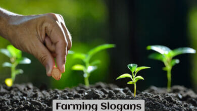 Farming Slogans