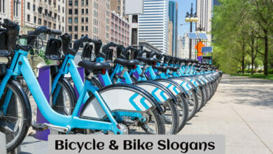 Bicycle and Bike Slogans