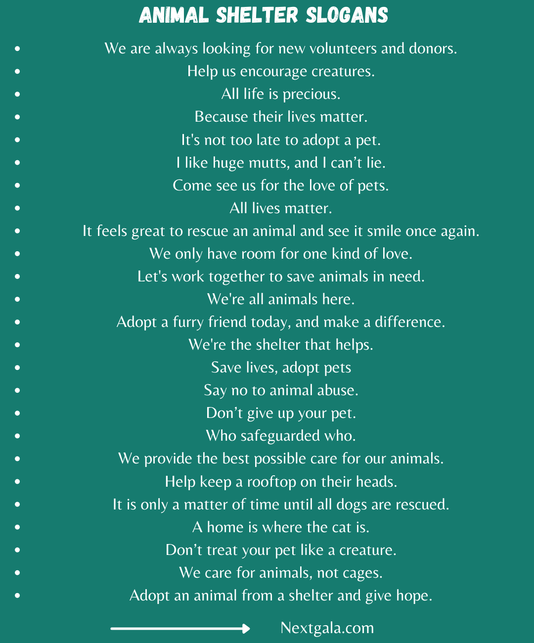 340 Best Animal Shelter Slogans And Taglines 340 Best Animal Shelter Slogans And Taglines