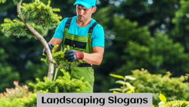 Landscaping Slogans
