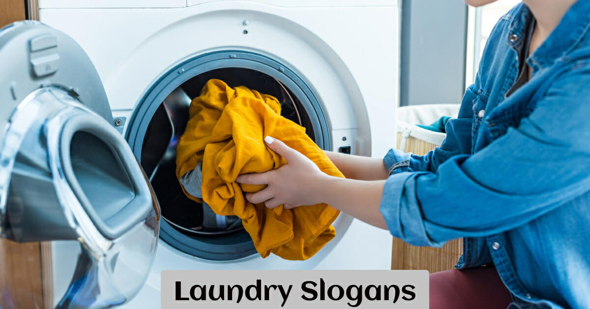 Best Laundry Business Slogans And Taglines