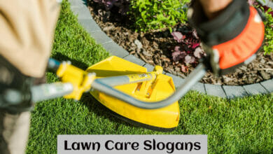 Lawn Care Slogans