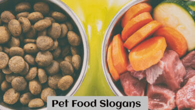 Pet Food Slogans