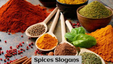 Spices Slogans