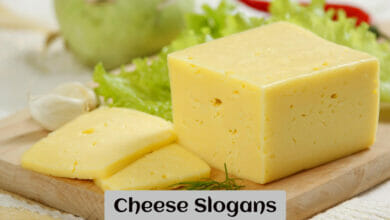 Cheese Slogans