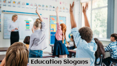 Education Slogans