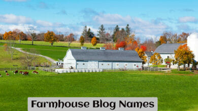 Farmhouse Blog Names