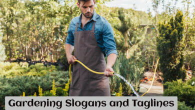 Gardening Slogans