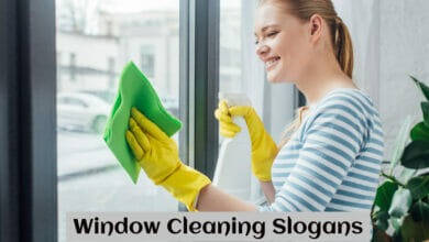 Window Cleaning Slogans