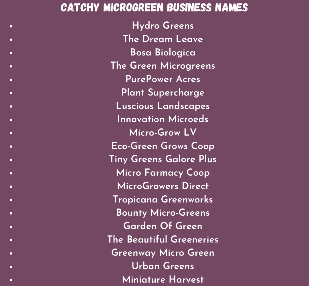 990-catchy-microgreen-business-names-ideas-2023