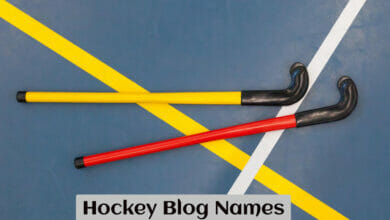 Hockey Blog Names