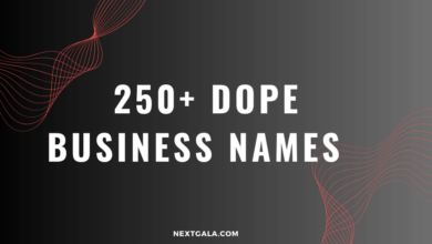 1600 Random Company Names Ideas and Guide (2023)