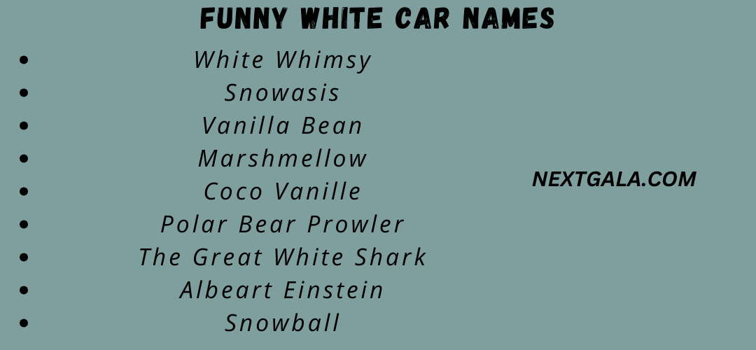 Funny White Car Names